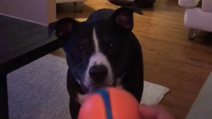 Good Catch!